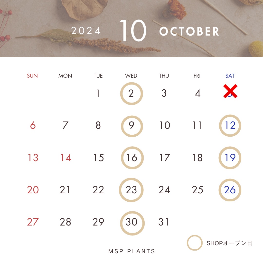 10月のショップオープン日